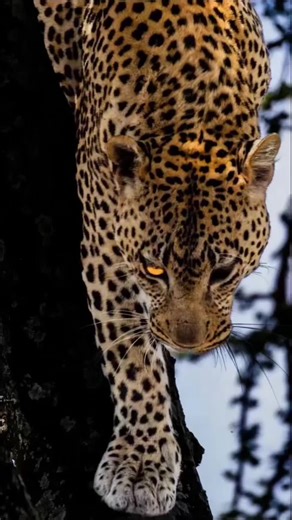 Stunning 3D iPhone Wallpaper: Ultra-Clear 8K Guide