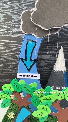 Rating the Water Cycle: Creative Assignment Ideas with Cardboard Crafts