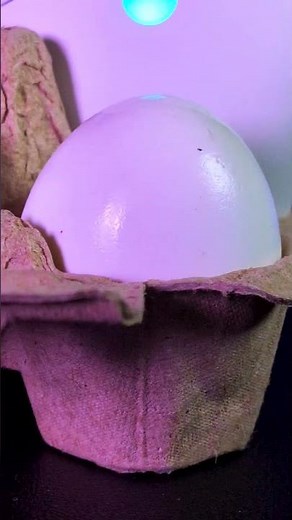 Built for cracked plays. Revealed tomorrow 👀