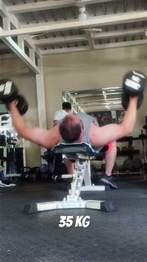 DB Flyes - 35 kg - 11-27-25