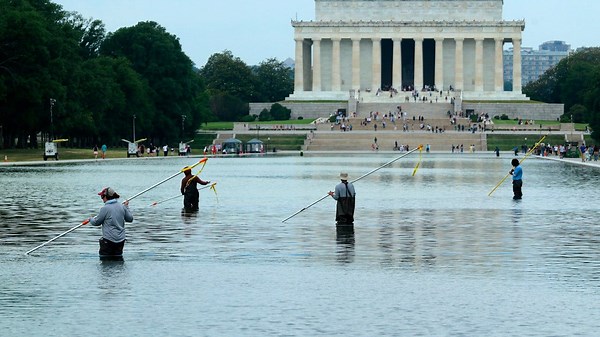 'The Five' on media reaction to vandalism to Trump's renovation of Lincoln Memorial Reflecting Pool