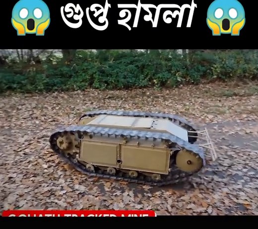 alpha sicret on TikTok