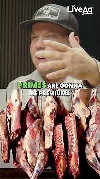 What is 'Selling Cattle on the Grid'? Explained Simply! #shorts