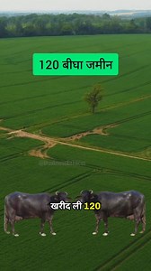 1.3M views · 10K reactions | 2 भैंसों से करोड़ों तक का सफर! जानिए हरिओम की कहानी। स्टोरी के धन्यवाद Youtube - Harshit farming vlogs . . #DairyFarming #SuccessStory #IndianFarmer #Hardwork #farming #businessknowledge #moneymindset #businesshindi #smallbusiness | Business Ethics | Facebook