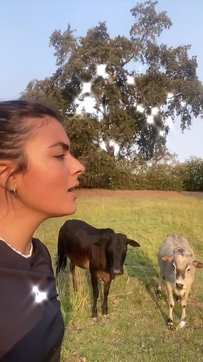 Della Monica on TikTok
