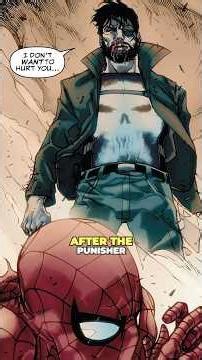 The Punisher Fought every Avenger