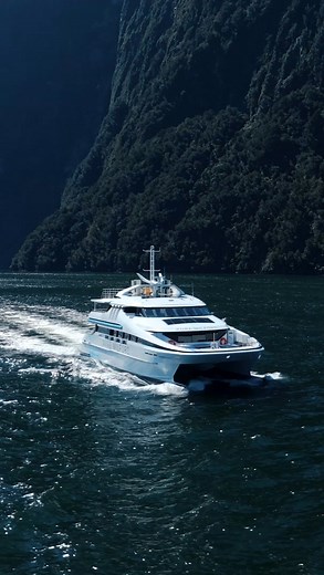 Ready for the trip of a lifetime? Go deep into the untouched wilderness of Fiordland National Park with Pure Milford 🛥️ Choose to drive yourself through the Fiordland National Park, take a coach from Queenstown or Te Anau, or even fly in a fixed wing plane. Book today to secure your space! We can't wait to welcome you aboard. | Pure Milford NZ