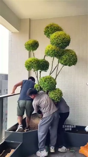 Easily create your own indoor garden #spacedesign #gardendesign #garden #plants