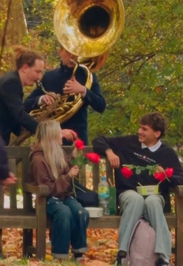 Voodoo Brass Band's Romantic Park Performance