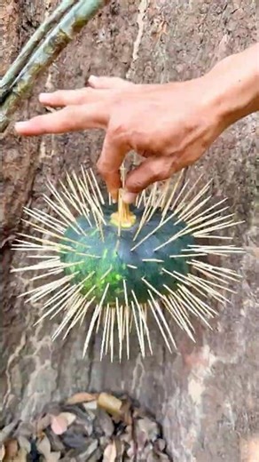 STYROFOAM Gloves Survival Hacks You Need to Know Now #survival #bushcraft #skills #camping #gloves