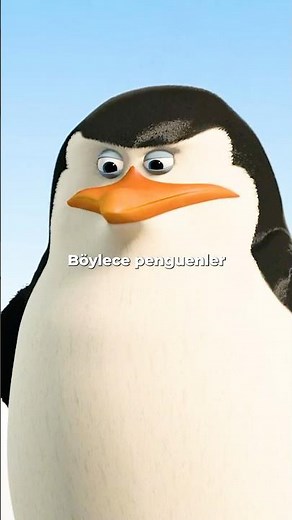 Did you know this detail in the movie Madagascar?