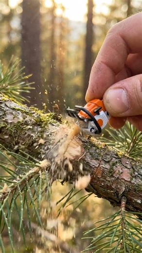 Tiny Chainsaw Tool Cuts Wood Better Than #tools #diy #woodworking