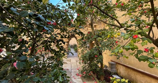 Nel parco di Boboli c’è un giardino segreto. Adesso si può visitare