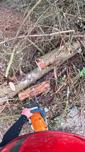 Cutting some firewood with the 261C