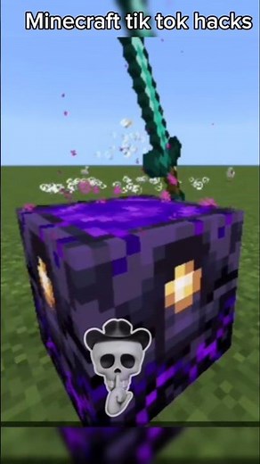 #edit #Shorts#minecraft #minecraftbuilding #tiktok #crazy #craft #minecraftshorts #2023 #hacks #2022