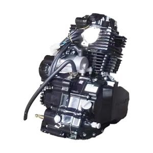 [Hot Item] Zs200 Engine Powering Your Motorcycle 200cc 4-Stroke