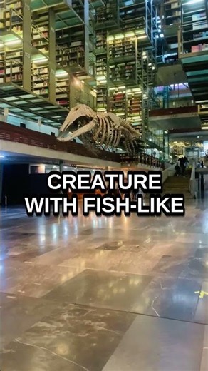 The Fish That Became Every Land Animal