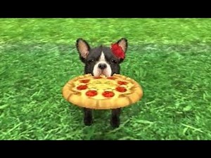 nintendogs + cats: French Bulldog & New Friends Playthrough Part 9