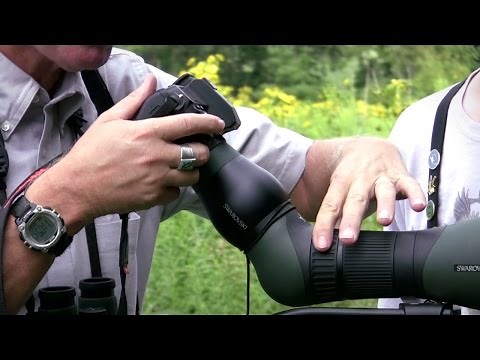 Digiscoping with Swarovski ATX/STX Spotting Scope