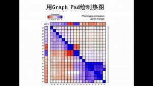 科研绘图使用graphpad绘制热图