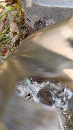 If your wellhead suddenly begins pumping water next to it rather than inside your home, please do not hesitate to contact us; we will correct that problem quickly and efficiently. | Marks Well Repair