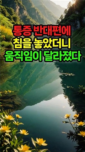 통증 반대편에 침을 놓았더니 움직임이 달라졌다. #맥산학회 #국제맥산통합침구학회 #맥산통합침구 #맥산침법 #통합 건강관리 서비스 #침술강의 #수지침강의 #사주학 강의