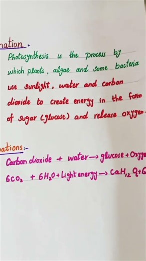 Photosynthesis Model for School Science Exhibition | Working Photosynthesis Chart | Science Project