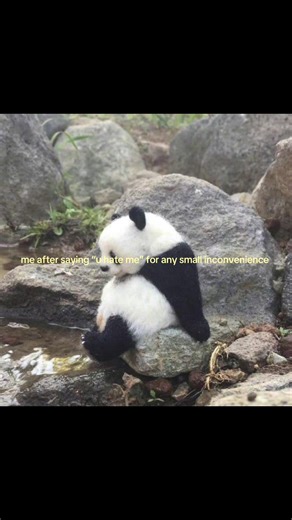 Understanding the 'You Hate Me' Meme: A Relatable Expression