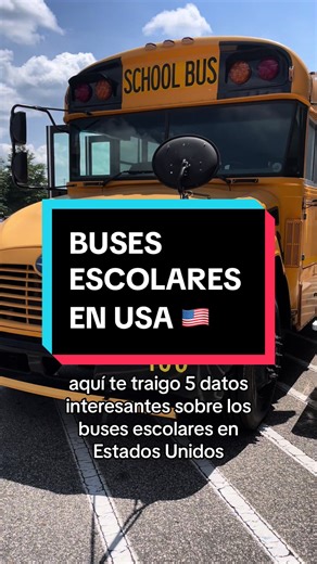 School Buses in the USA: How they Operate and What to Expect