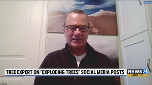 Are trees really exploding in West Michigan from cold weather?