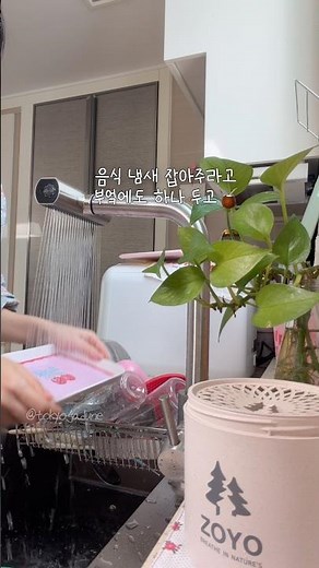 매일 요리하는 우리집🍚🍲냄새 잡는 비건 탈취제 추천🪵🌿