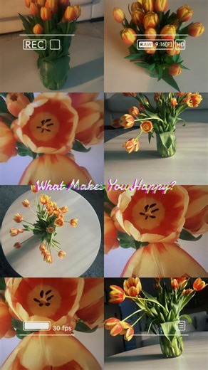 Tulips make me happy and are one of my favorite flowers. What’s your favorite flower? #tulips #flowers #blossom #spring #happy