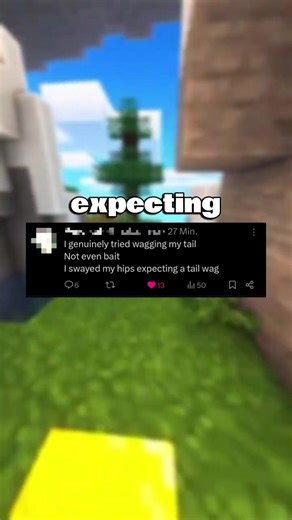 Wagging My Tail: The Good Boy Experience