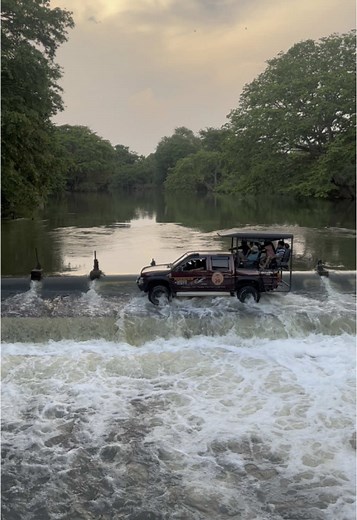 Discover Wilpattu National Park: Sri Lanka's Wildlife Paradise