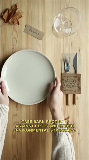 Ever wonder how nature crafts its incredible textures