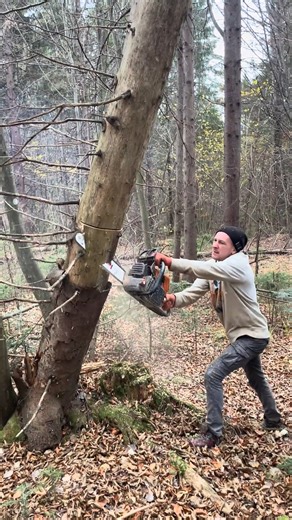 66K views · 194 reactions | #logging | A574 | Facebook