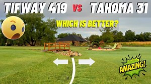 Tahoma 31 vs Tifway 419: Which Bermudagrass Reigns Supreme?