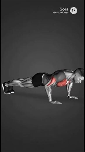 How 10 Pushups a day Can Help You a lot!