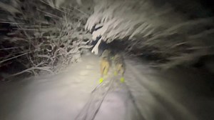 139K views · 14K reactions | Running Through the Jungle! It’s always fun to run on new trails but I’m always stoked to be back in Eureka and on the home trails dodging brush and bouncing of trees and tussocks! | Wild and Free Mushing | Facebook