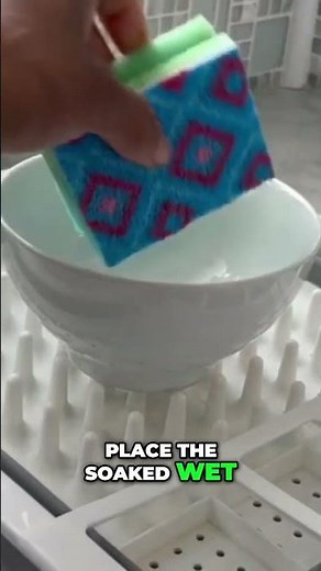 Revive Your Kitchen Sponge in 60 SECONDS with This Hack