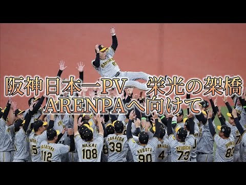阪神日本一PV 栄光の架橋に乗せて ARENPAへ #PV#阪神#タイガース#岡田阪神#阪神PV