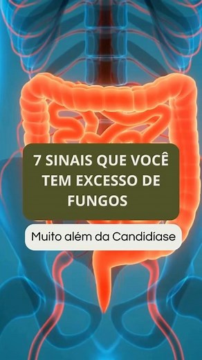 Dr. Ricardo Fernandes | Você tem algum desses sintomas? Quais? Você já fez a desparasitação completa esse ano? | Instagram