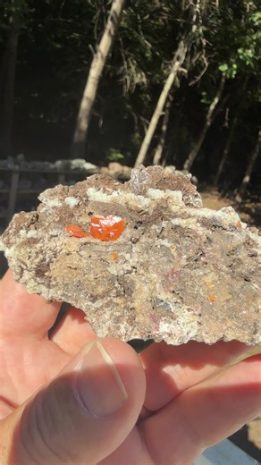 Self collected: Wulfenite from the Red Cloud mine South Geronimo location. Really cool piece, me and my Brother John pulled out a ton of awesome pieces from the pocket we found day two. #rocks #digging #crystals #wulfinite #arizona