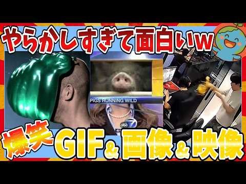 【🌏爆笑】やらかしまくって爆笑間違いなしのおもしろGIF＆画像＆動画大全集ｗｗｗ【2ch】【ガルちゃんまとめ】