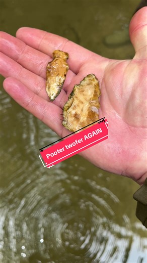 Pooter scooping with @Almost_Average_Hunter #moartifacts #moarrowheads #rockhound #rockhound #outside #arrowheads #hunt