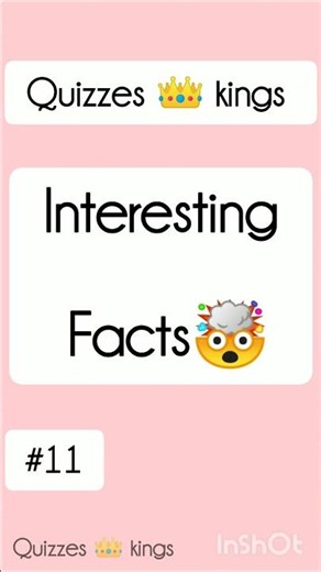 Which Creature Has the Biggest Brain-to-Body Ratio? 🐜 Shocking Fact Quiz!
