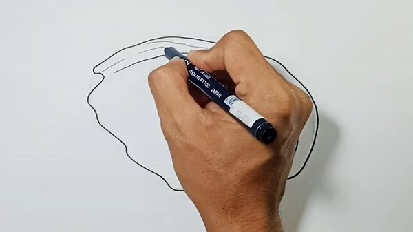 How to draw Abalone - Easy Abalone Drawing