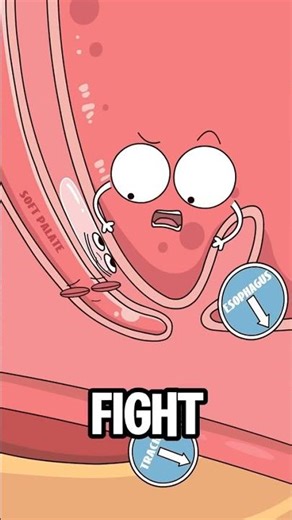 Why Do We Snore? 😴 The Science Behind Snoring in Fun Animation