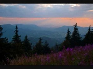 Čechomor - Větříček