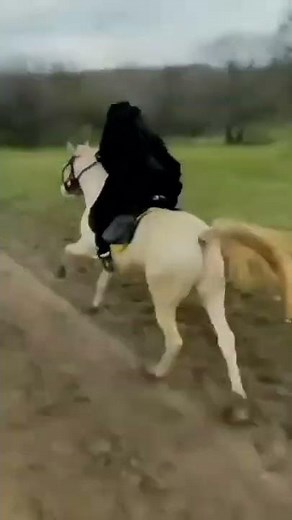 hours riding animal video| animal video|fast riding|wow viral video